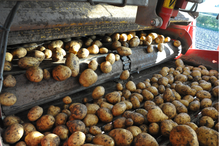 A UK food manufacturer — Food Manufacturing